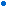 color bullet