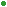 color bullet
