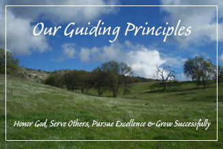 guiding principles